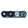 Dallas Stars Inglasco NHL Logo Hockey Puck (4 Pack)